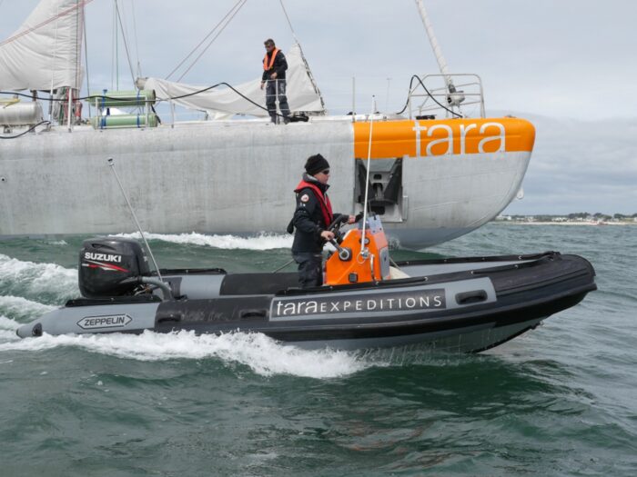 CREDITS MAEVA BARDY-ZEPPELIN (3 sur 1)